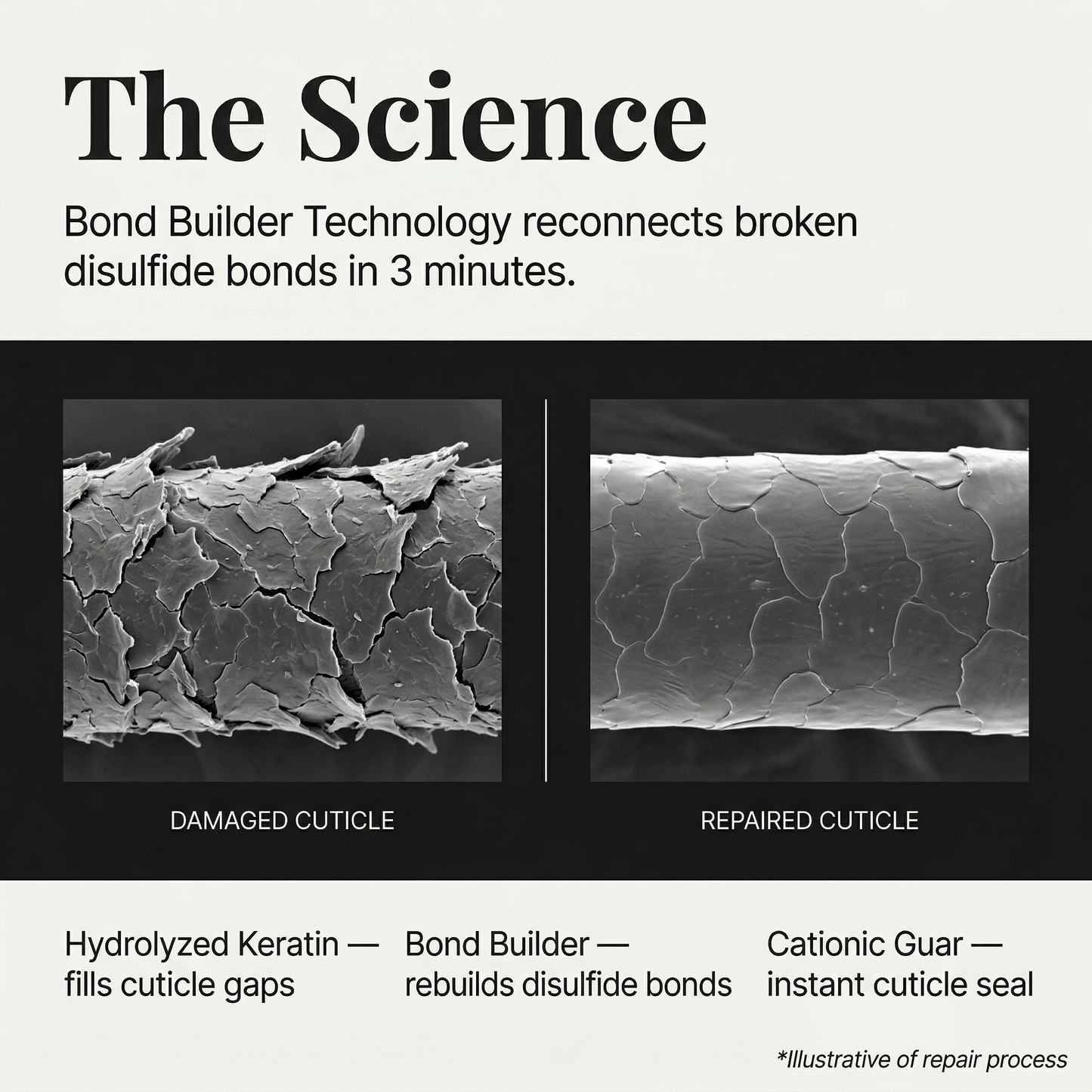 The science: damaged versus repaired cuticle